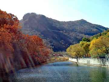 新澳天天开奖资料大全旅游团，茶酵母减肥胶囊